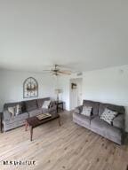 living room with light wood-type flooring