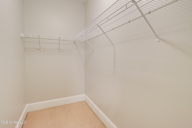 spacious closet with carpet floors