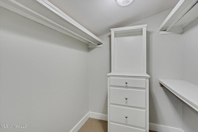 spacious closet with carpet