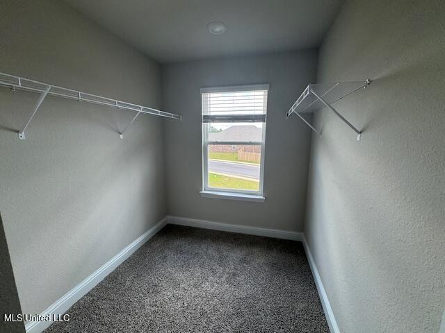 5378 Leeds Ln, Biloxi, MS 39532 - walk in closet with carpet