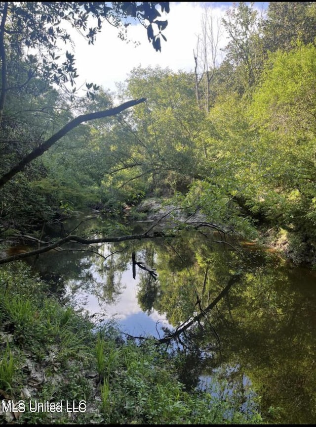 20454 Saucier Advance Rd, Saucier, MS 39574 - view of nature featuring a view of trees