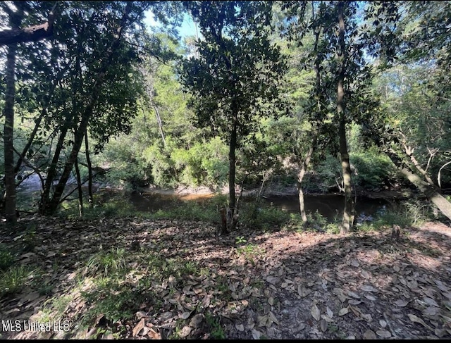 20454 Saucier Advance Rd, Saucier, MS 39574 - view of nature featuring a view of trees