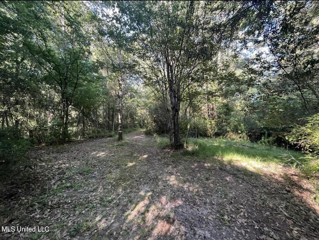 20454 Saucier Advance Rd, Saucier, MS 39574 - view of yard with a wooded view