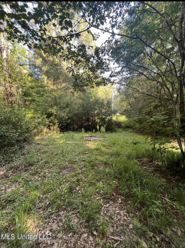 20454 Saucier Advance Rd, Saucier, MS 39574 - view of yard