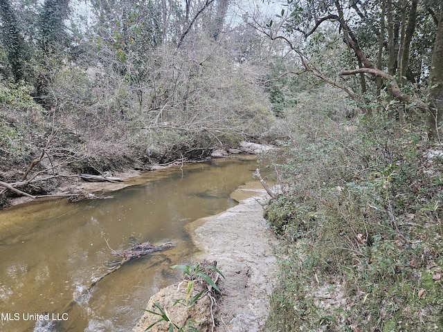 20454 Saucier Advance Rd, Saucier, MS 39574 - property view of water