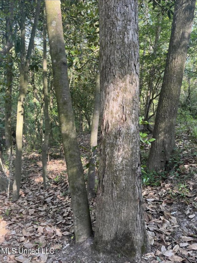 20454 Saucier Advance Rd, Saucier, MS 39574 - view of landscape