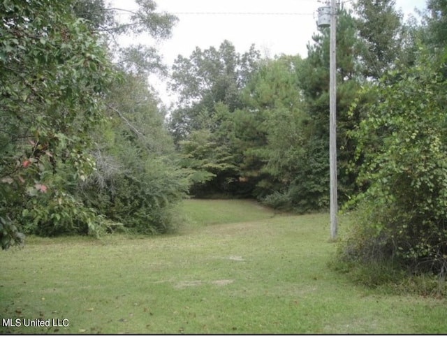 20454 Saucier Advance Rd, Saucier, MS 39574 - view of yard