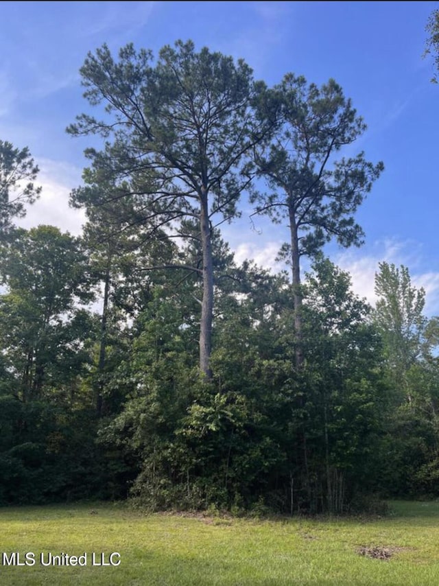 20454 Saucier Advance Rd, Saucier, MS 39574 - view of landscape with a wooded view