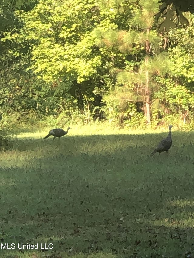 20454 Saucier Advance Rd, Saucier, MS 39574 - view of landscape