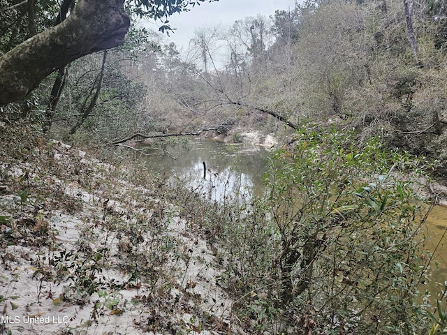20454 Saucier Advance Rd, Saucier, MS 39574 - water view featuring a view of trees