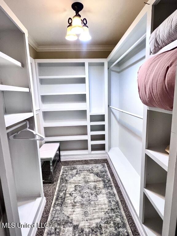 view of walk in closet