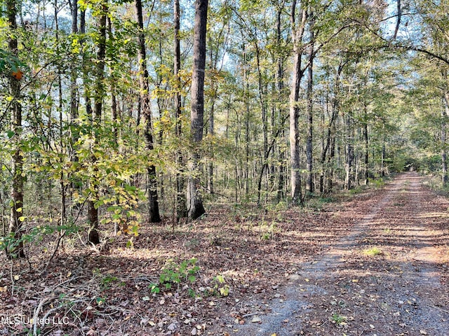 Listing photo 3 for 0 Moncure Rd, Terry MS 39170