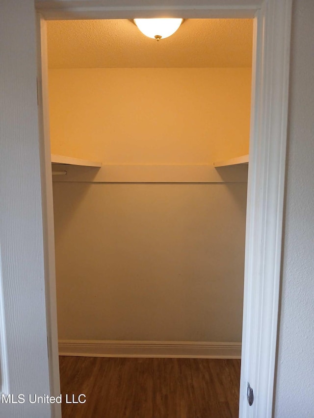 walk in closet featuring dark hardwood / wood-style floors