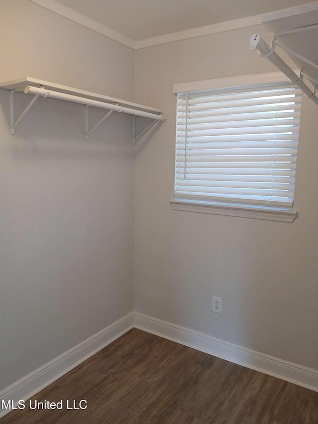 walk in closet featuring dark wood-type flooring