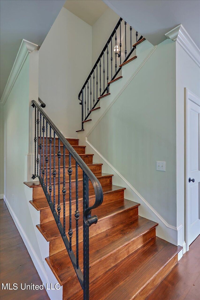 staircase featuring wood-type flooring