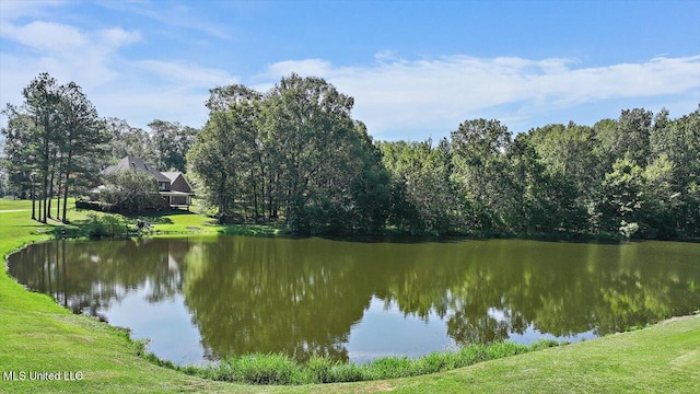 view of water feature