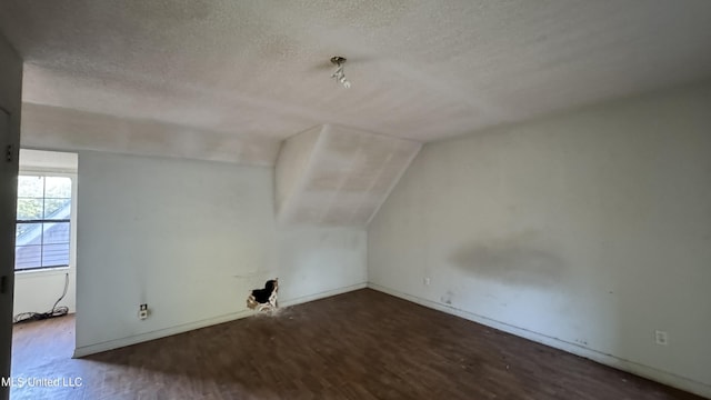 additional living space featuring a textured ceiling, dark hardwood / wood-style flooring, and lofted ceiling