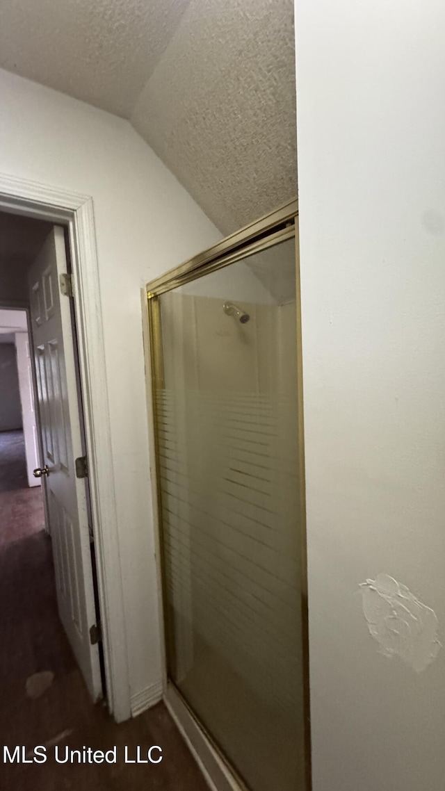 bathroom featuring a textured ceiling, a shower with shower door, and lofted ceiling