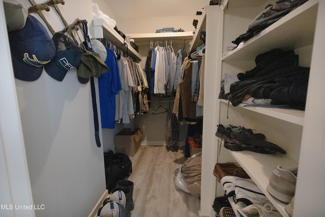 spacious closet with light wood-type flooring