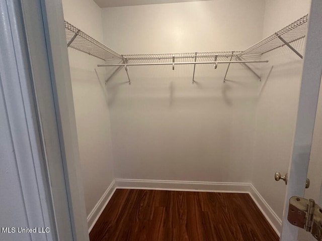 6 Dogwood Cir, Diamondhead, MS 39525 - walk in closet with dark wood finished floors