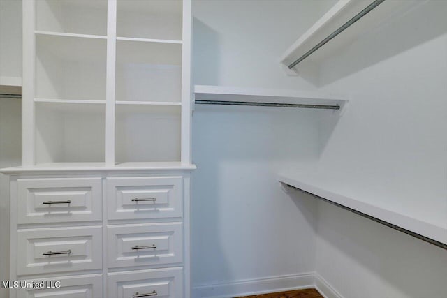 view of spacious closet