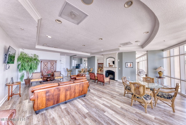 living room featuring light hardwood / wood-style flooring, a fireplace, and a raised ceiling