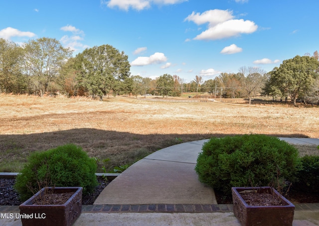 view of yard with a rural view