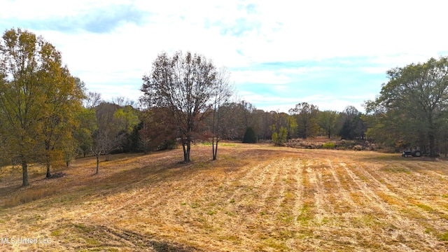 view of yard featuring a rural view