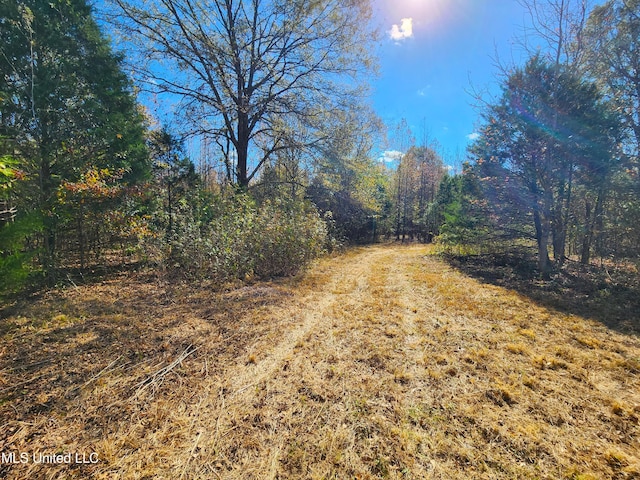 view of road