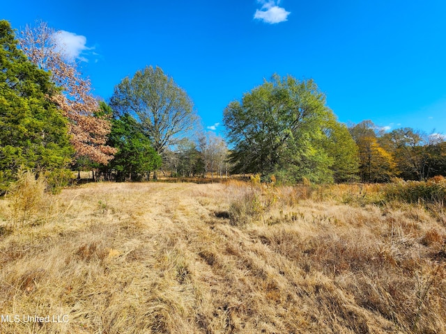 view of local wilderness featuring a rural view