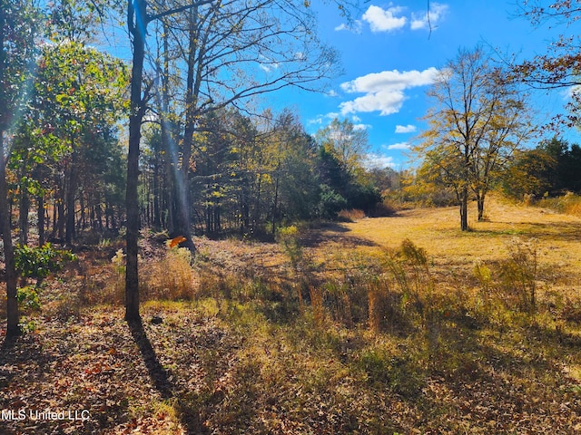 view of local wilderness