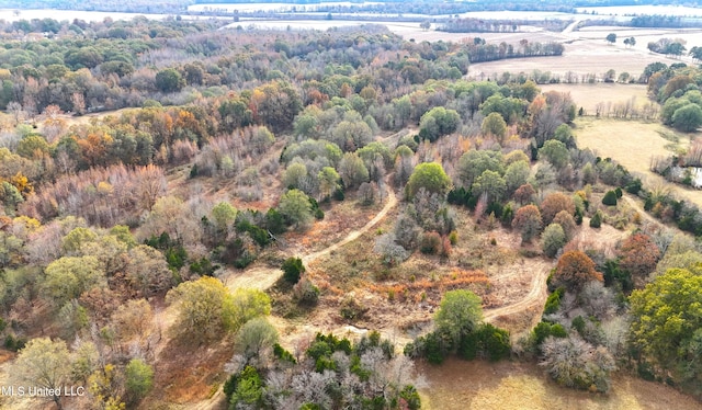 drone / aerial view with a rural view