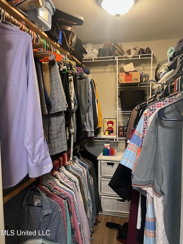 spacious closet featuring hardwood / wood-style flooring