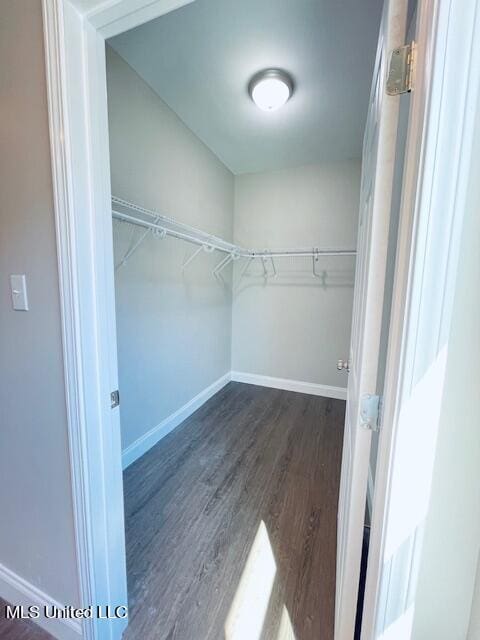 spacious closet featuring dark hardwood / wood-style floors