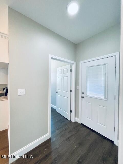 entrance foyer featuring dark wood-type flooring