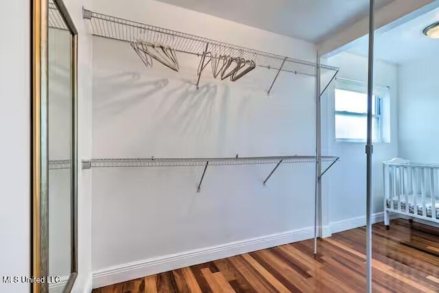 spacious closet featuring hardwood / wood-style flooring