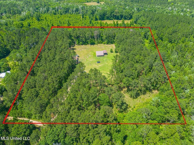 51 Decalb Oneal Rd, Perkinston, MS 39573 - view of property location with a heavily wooded area and property boundaries highlighted