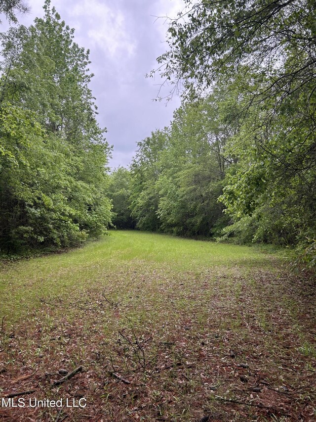 Bethlehem Rd, Lauderdale, MS 39335