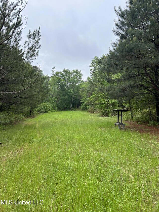 Bethlehem Rd, Lauderdale, MS 39335