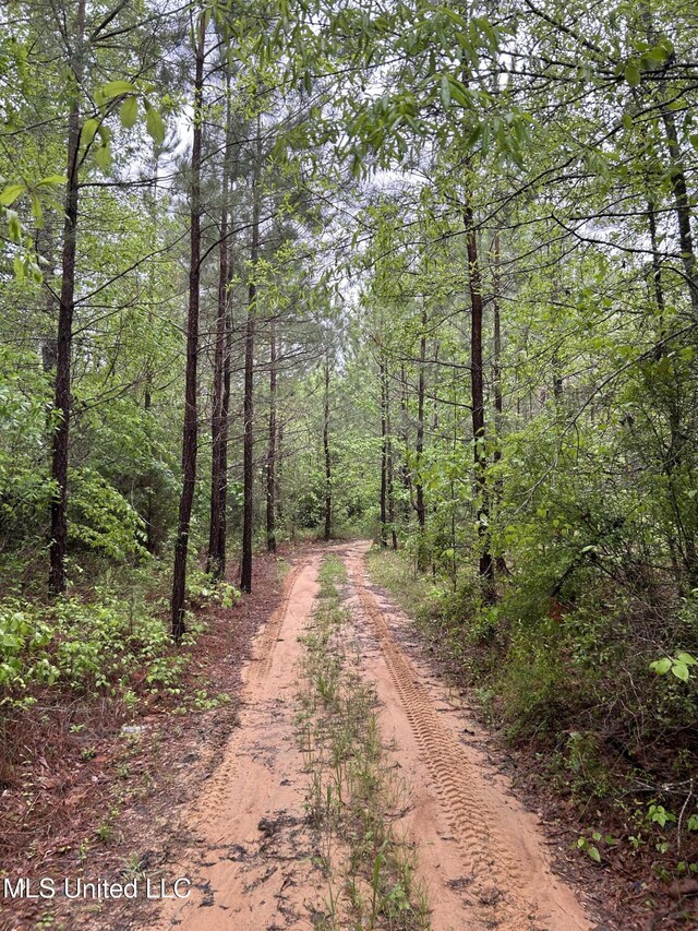 Bethlehem Rd, Lauderdale, MS 39335