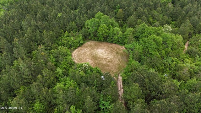 Bethlehem Rd, Lauderdale, MS 39335