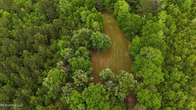 Bethlehem Rd, Lauderdale, MS 39335