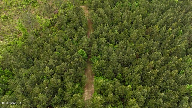 Bethlehem Rd, Lauderdale, MS 39335