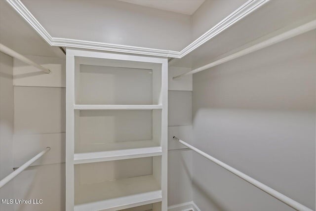 view of walk in closet