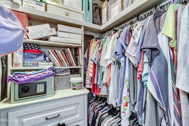 view of spacious closet