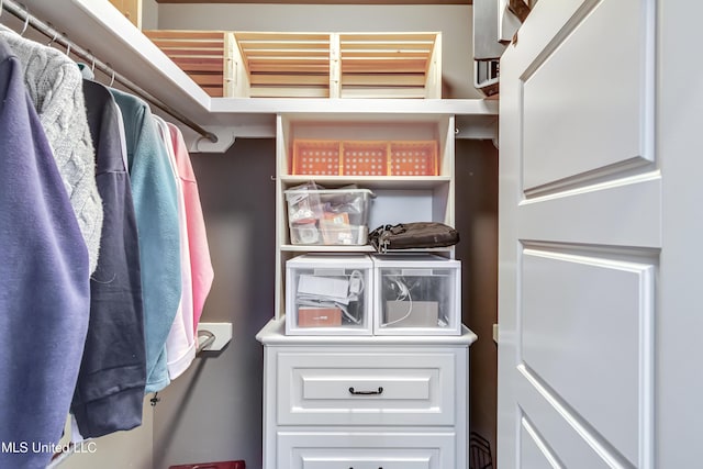 view of walk in closet