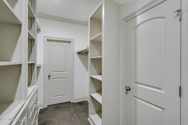 walk in closet with dark carpet