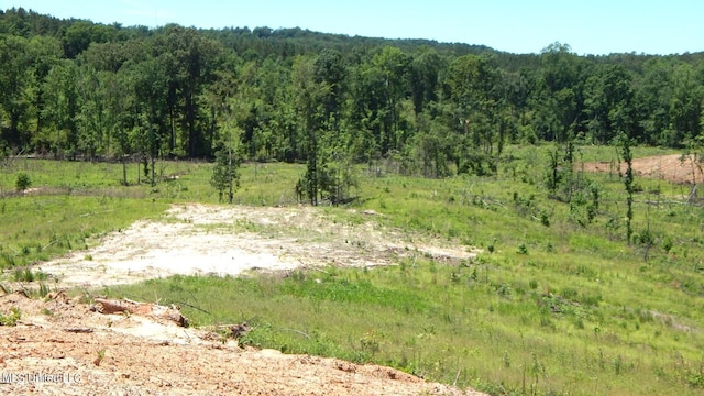 103 Hugh White State Park Rd, Grenada, MS 38901