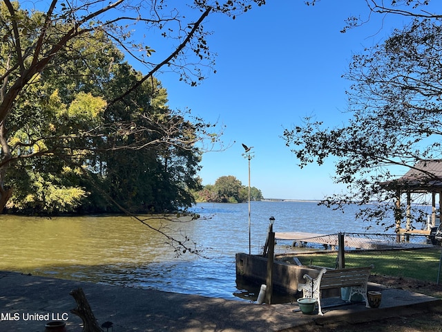 dock area with a water view