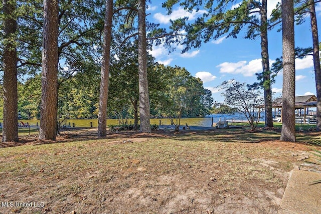 view of yard with a water view